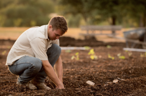 Food Producers & Processors: Boost Your Brand with the Buy BC Partnership Program